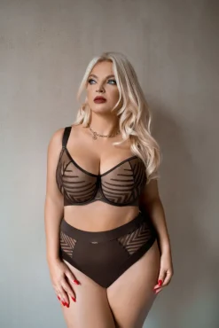 Polski Brązowe Figi BROWNIE Wysoki Stan